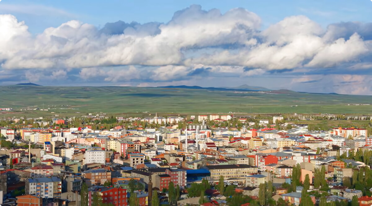 Nuestro inventario incluye una amplia variedad de vehículos.